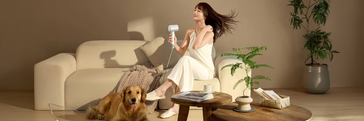 Mijia Dryer H501