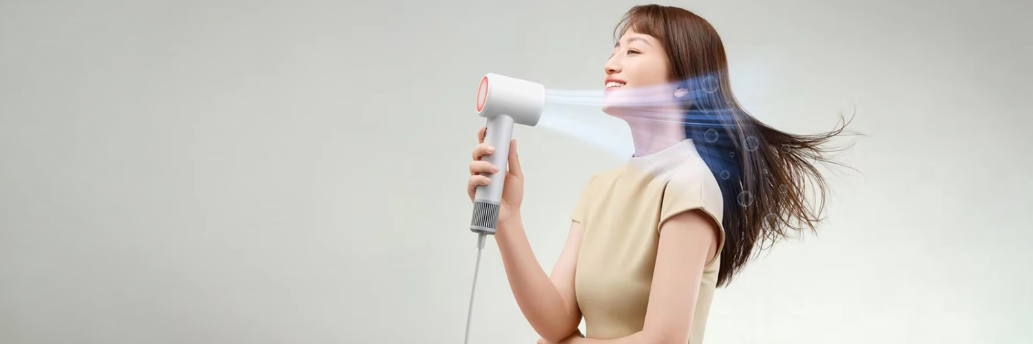 Mijia Dryer H501